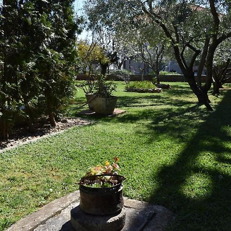 Apartman Dodo Zara Esterno foto